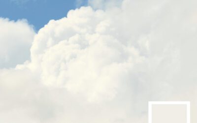 Kolor Roku 2026: Pantone 11-4201 Cloud Dancer